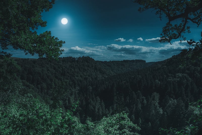 Moonbeam Manor